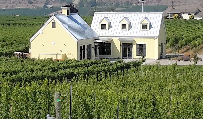 Here's The Thing Vineyards